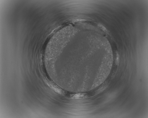 X0000080120366200612302016