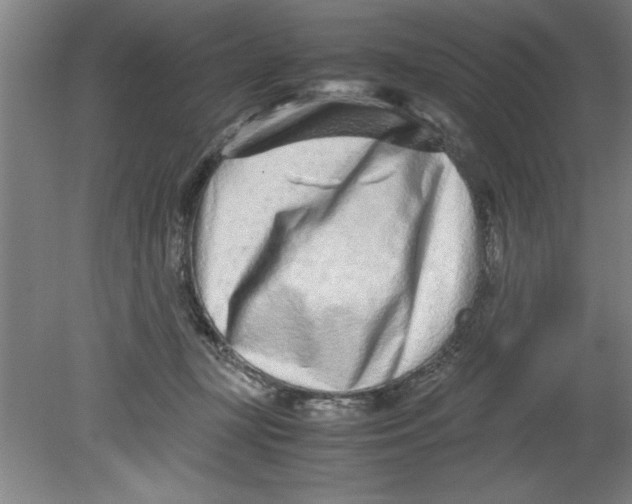 X0000080120367200612302016