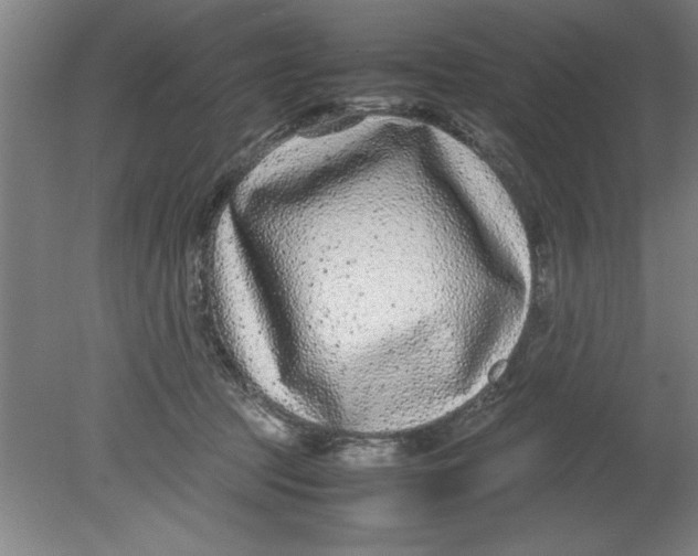 X0000080120369200612302016