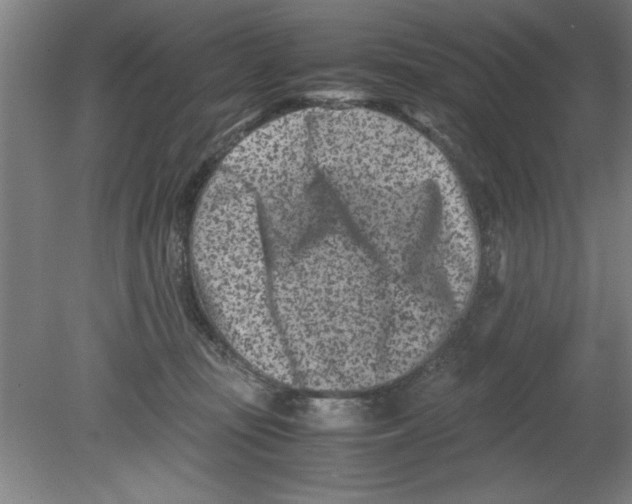 X0000080120371200612302016