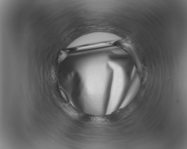 X0000080120380200612302016