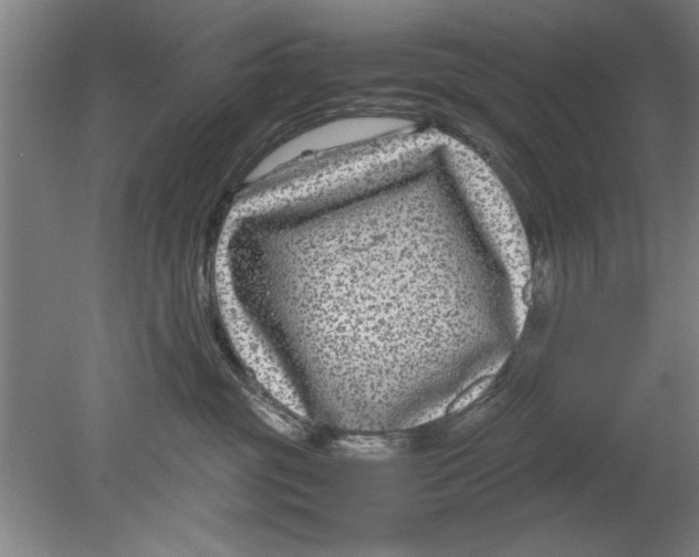 X0000080120381200612302016