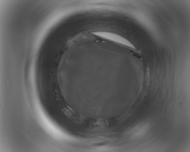 X0000080120383200612302016