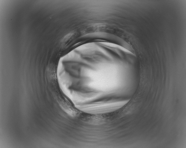 X0000080120384200612302016