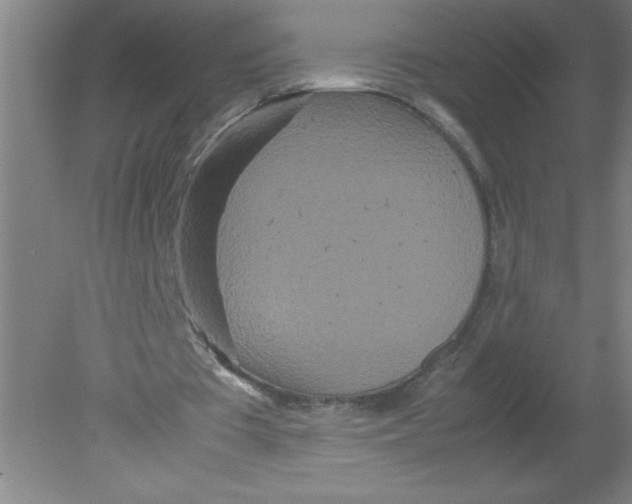 X0000080120385200612302016