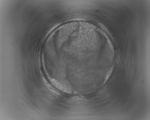 X0000080120386200612302016