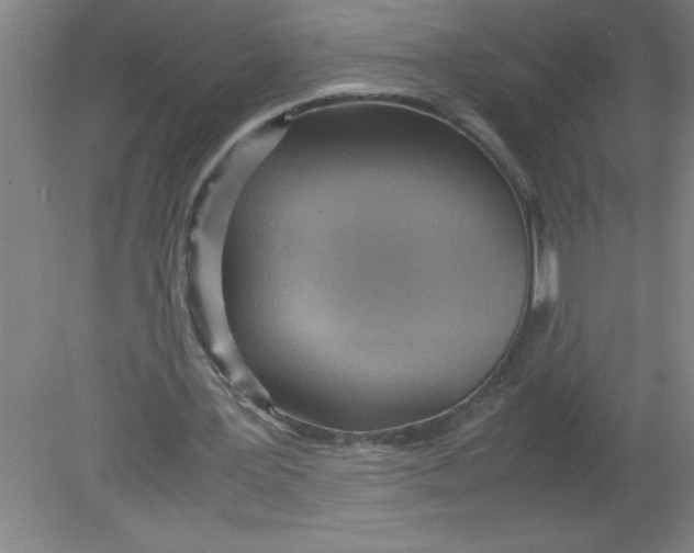 X0000080120387200612302016