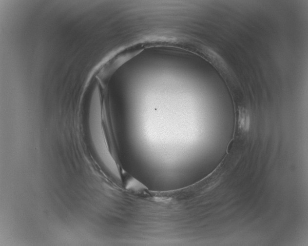 X0000080120388200612302016