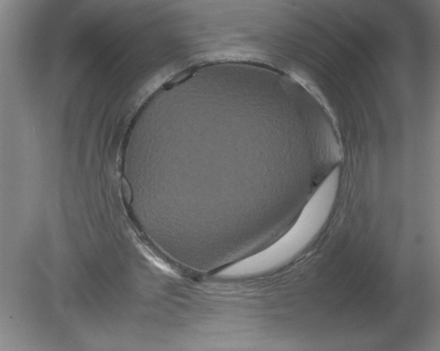 X0000080120389200612302016