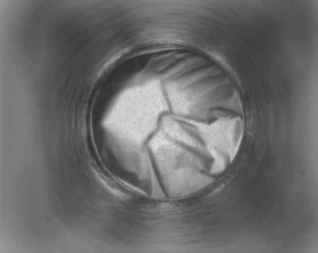 X0000080120390200612302016