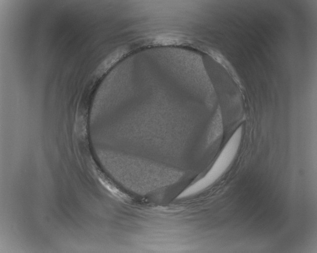 X0000080120393200612302016