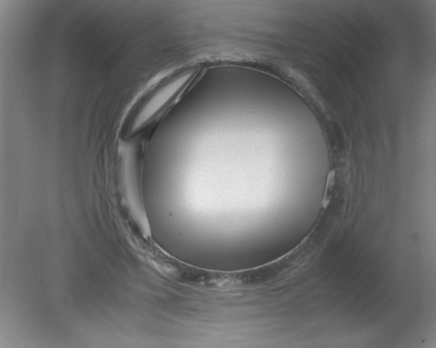 X0000080120395200612302015