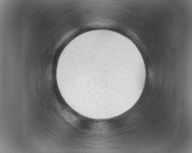 X0000080120396200612302015