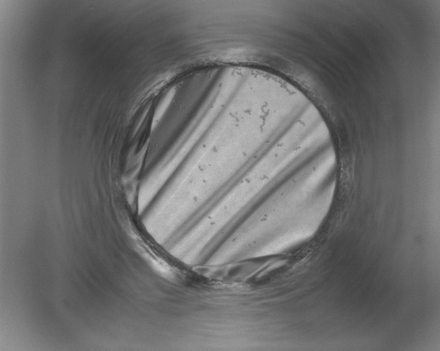 X0000080120397200612302015