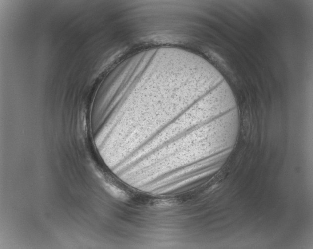 X0000080120398200612302015