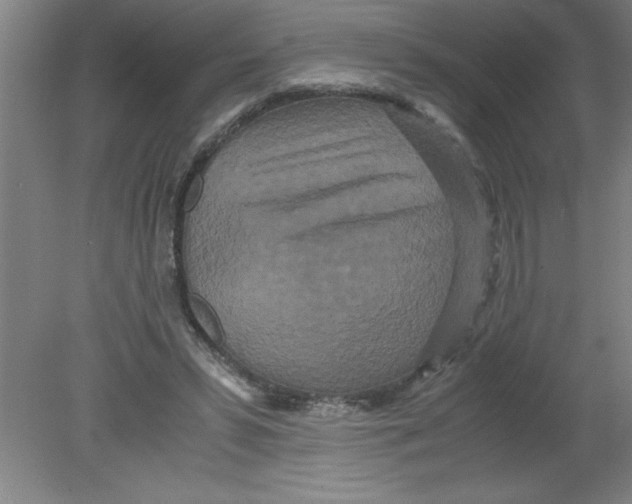 X0000080120399200612302015