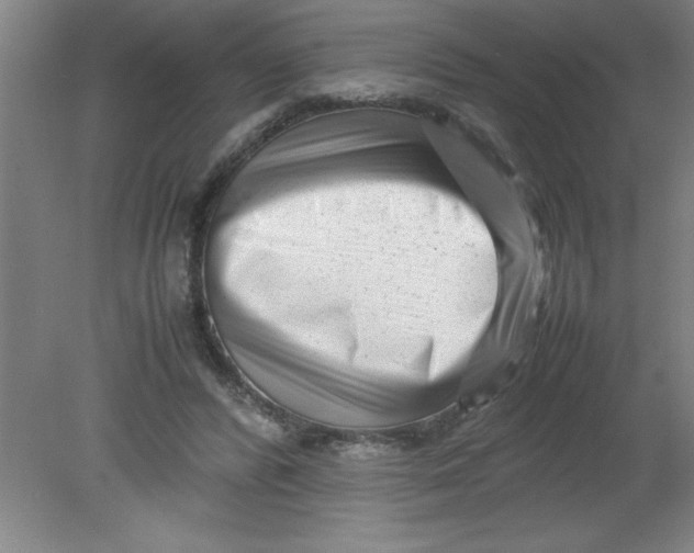 X0000080120400200612302015