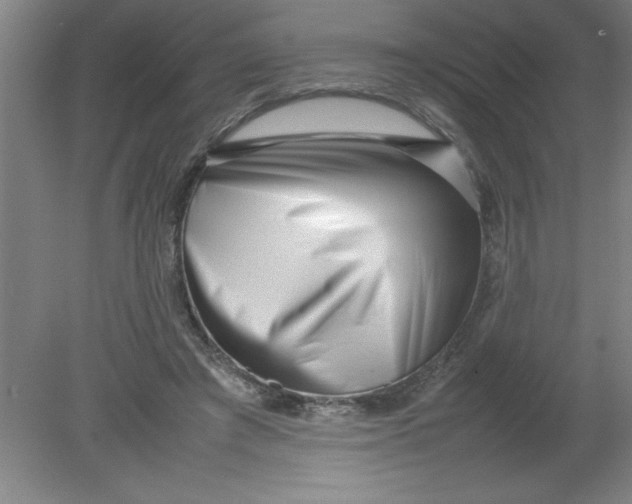 X0000080120401200612302015