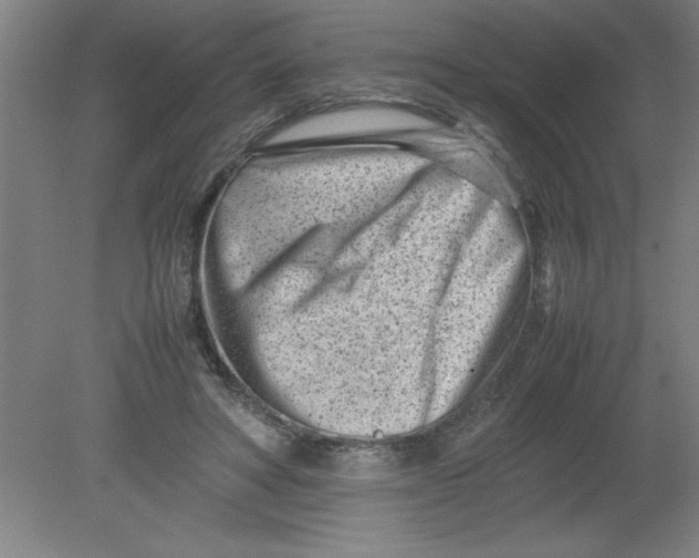 X0000080120402200612302015