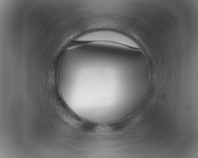 X0000080120403200612302015