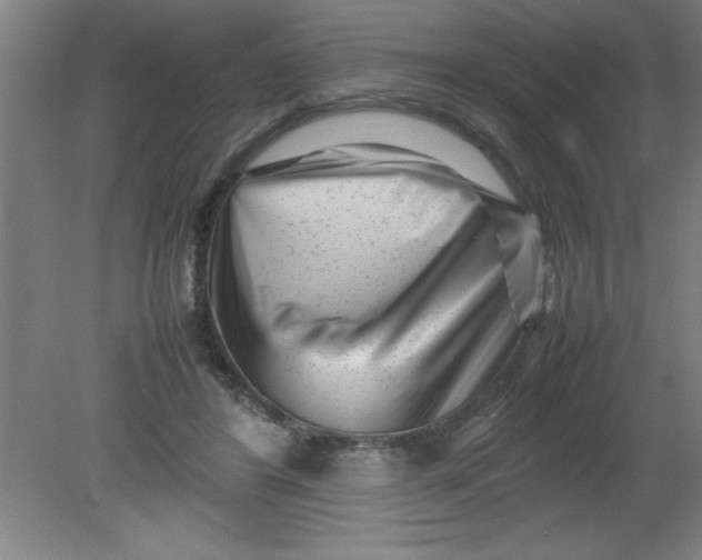 X0000080120404200612302015