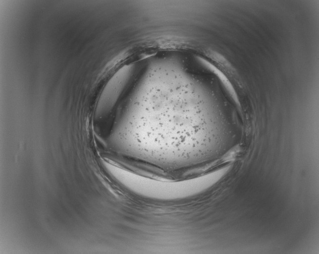 X0000080120405200612302015