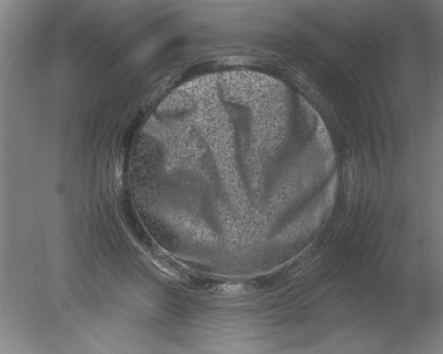 X0000080120406200612302015