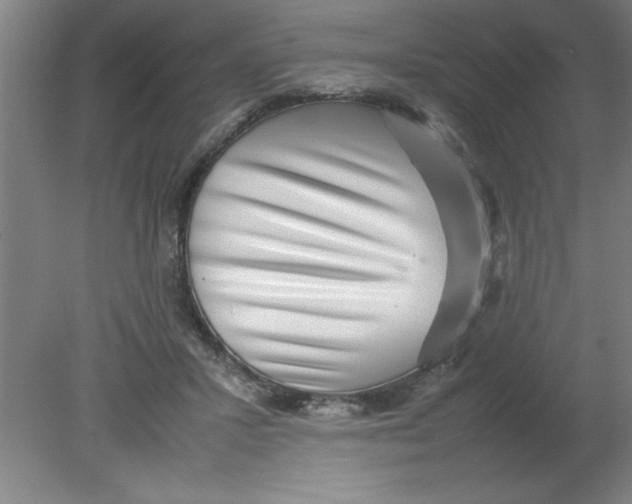 X0000080120407200612302015