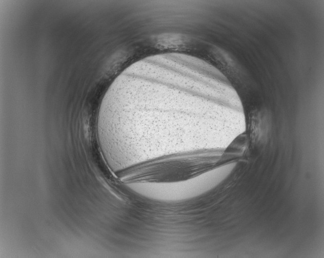 X0000080120408200612302015