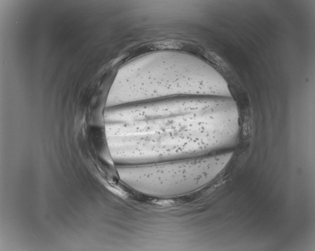 X0000080120409200612302015