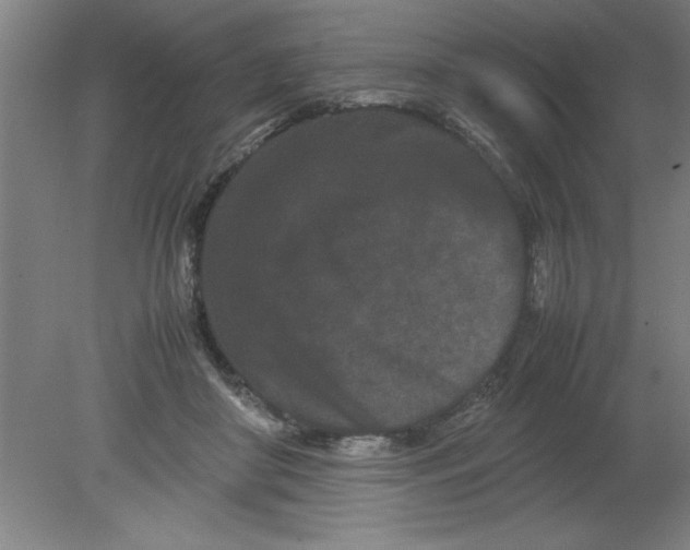 X0000080120410200612302015