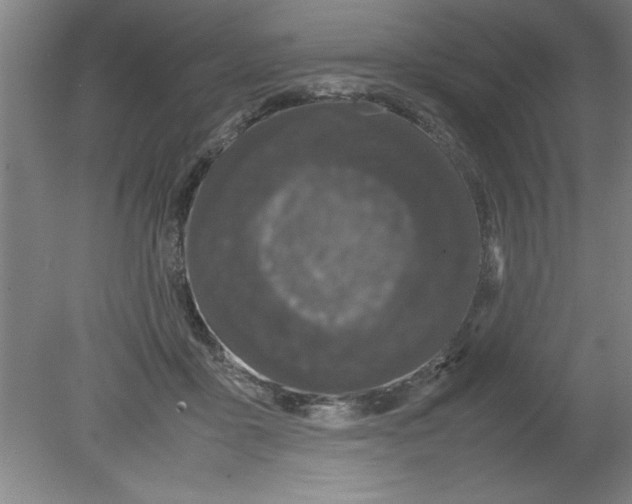 X0000080120411200612302015