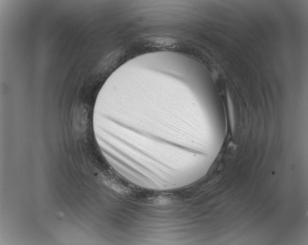 X0000080120412200612302015