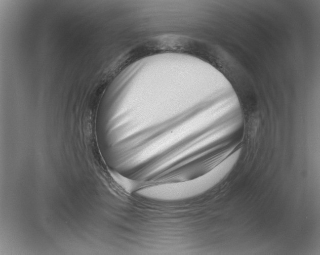 X0000080120413200612302015