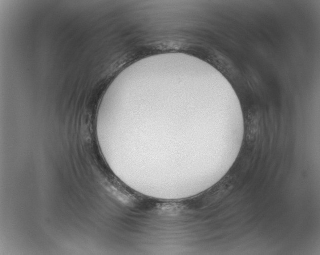 X0000080120414200612302015