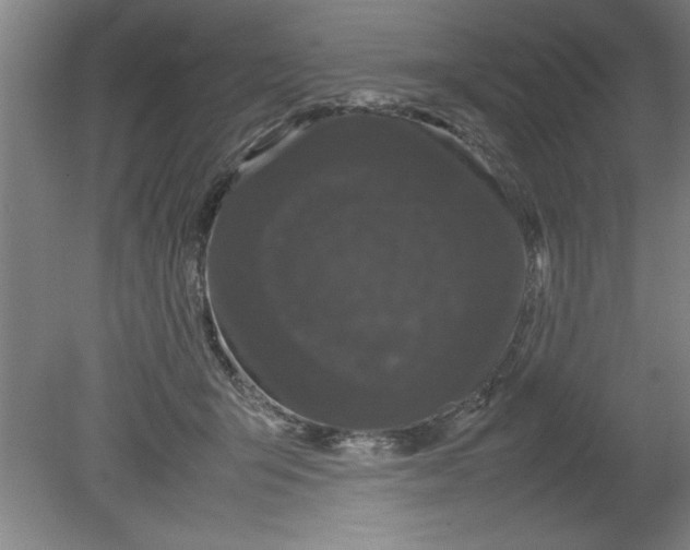 X0000080120415200612302015