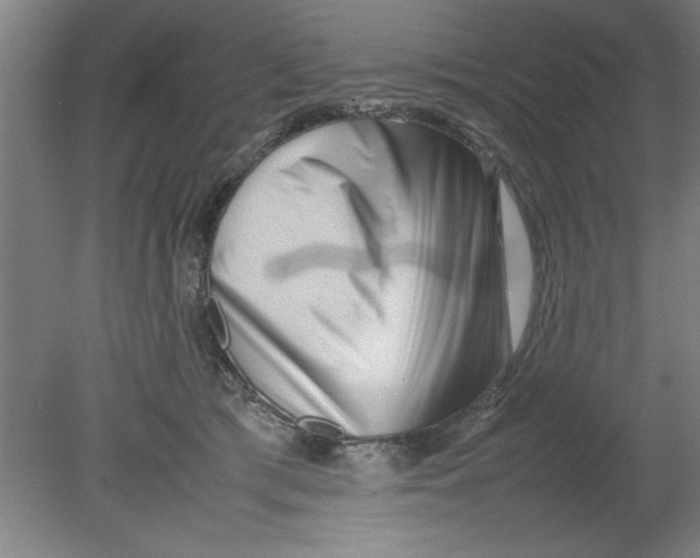 X0000080120417200612302015