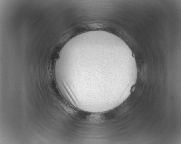 X0000080120418200612302015