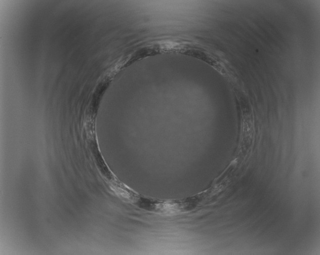 X0000080120419200612302015