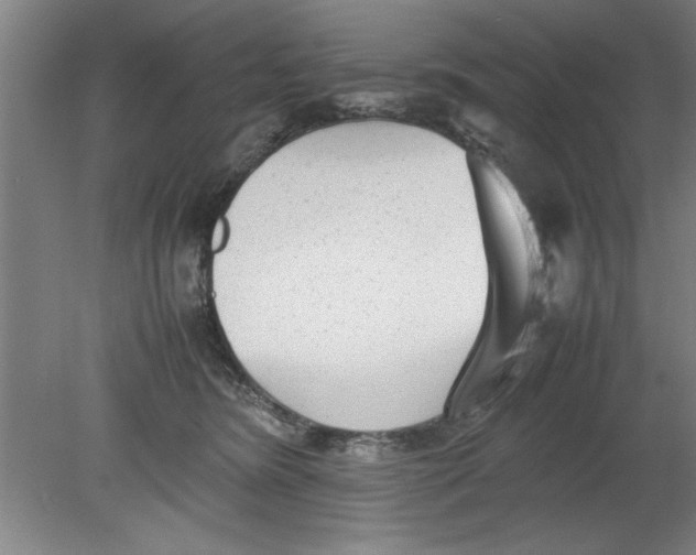 X0000080120420200612302015