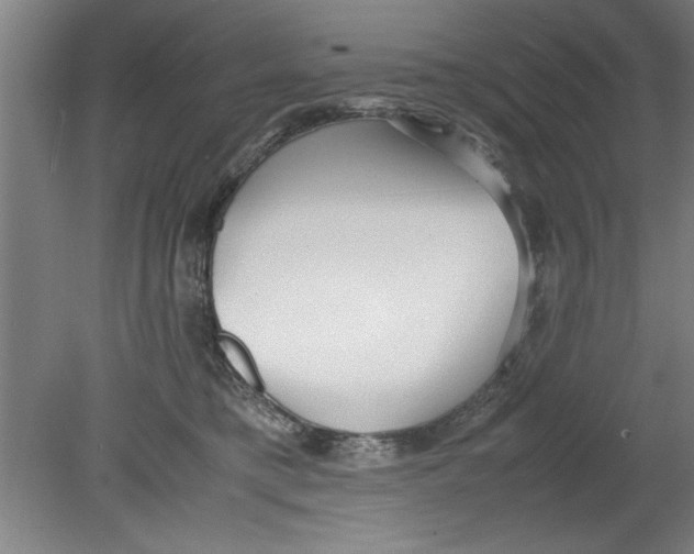 X0000080120421200612302015