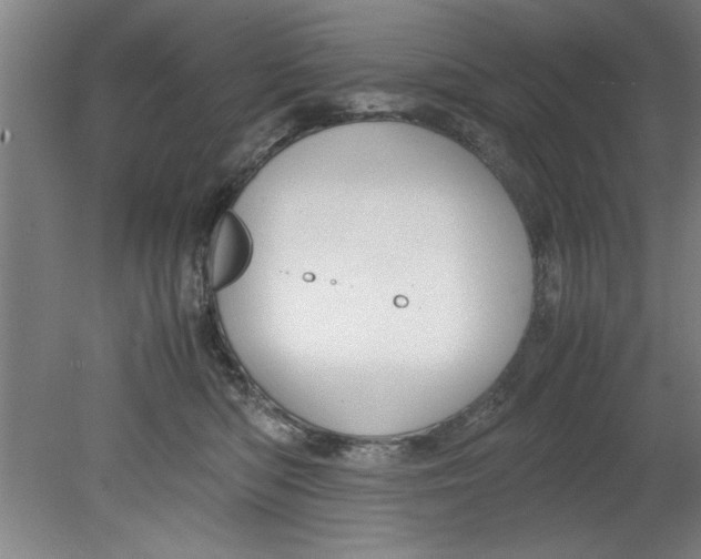 X0000080120422200612302015