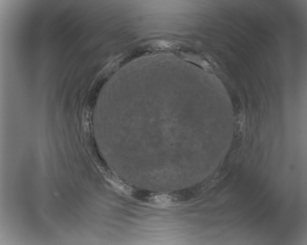 X0000080120423200612302015