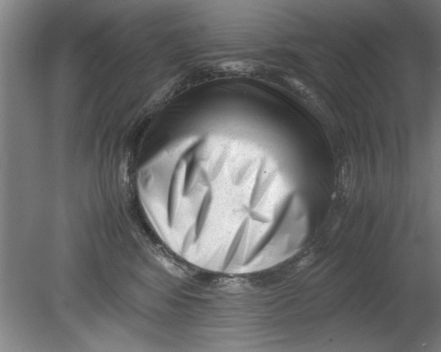 X0000080120424200612302015