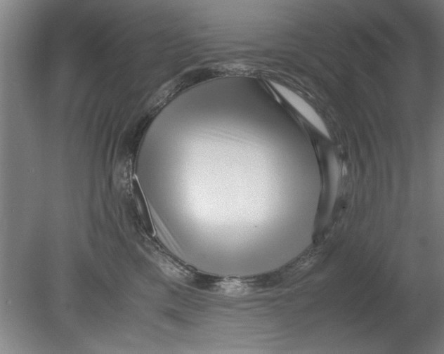 X0000080120425200612302015