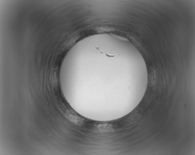 X0000080120426200612302015