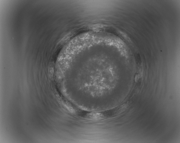 X0000080120427200612302015