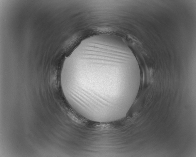 X0000080120428200612302015