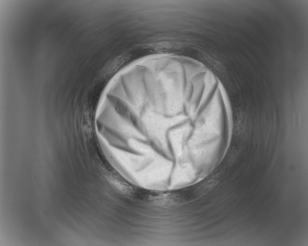 X0000080120430200612302015