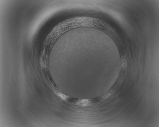 X0000080120431200612302015